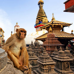 Swayambunath-Tempel – Indien Nepal Rundreisen