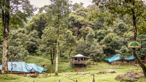 Indien In der Nähe des Neora Valley Nationalparks gelegen, beliebt für Naturwanderungen, Trekking, Wochenendaktivitäten in der Wildnis